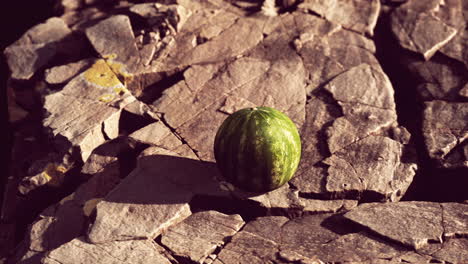bayas de frutas de sandía en piedras rocosas