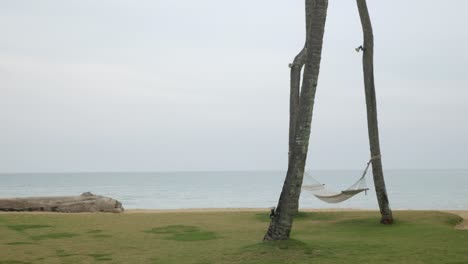 Hamaca-De-Playa-Colgada-En-La-Palmera-De-Coco