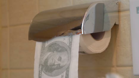 using dollar toilet paper in 4k slow motion 60fps