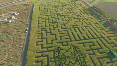 guinness book of world records largest corn maze in dixon california drone view