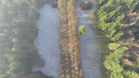 imágenes aéreas altas y lentas del bosque en invierno