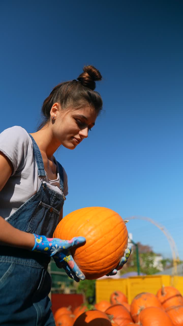 여자가 호박 에서 호박을 뽑고 있다