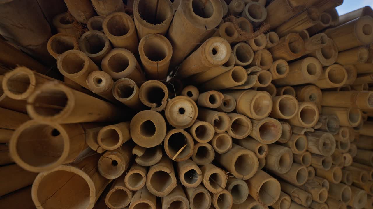 Tightly bundled mature bamboo stalks are stacked and ready for use in construction, furniture, or craft industries—highlighting sustainable materials from rural farming and forest areas.