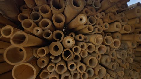tightly bundled mature bamboo stalks are stacked and ready for use in construction, furniture, or craft industries—highlighting sustainable materials from rural farming and forest areas.