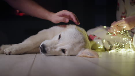 A-girl-is-unraveling-a-garland,-next-to-her-is-a-dog,-which-is-being-stroked-by-a-mans-hand.-Christmas-and-New-Year's-Eve