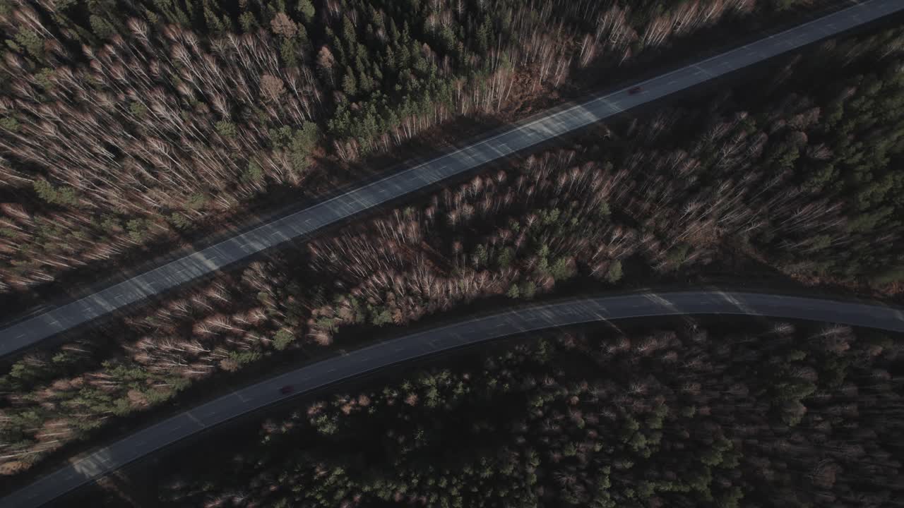 Drönarfilm av en slingrande asfaltmotorväg som skär genom tät blandskog med långa skuggor, ett avlägset landskap i Uralbergen, Ryssland, sett ovanifrån