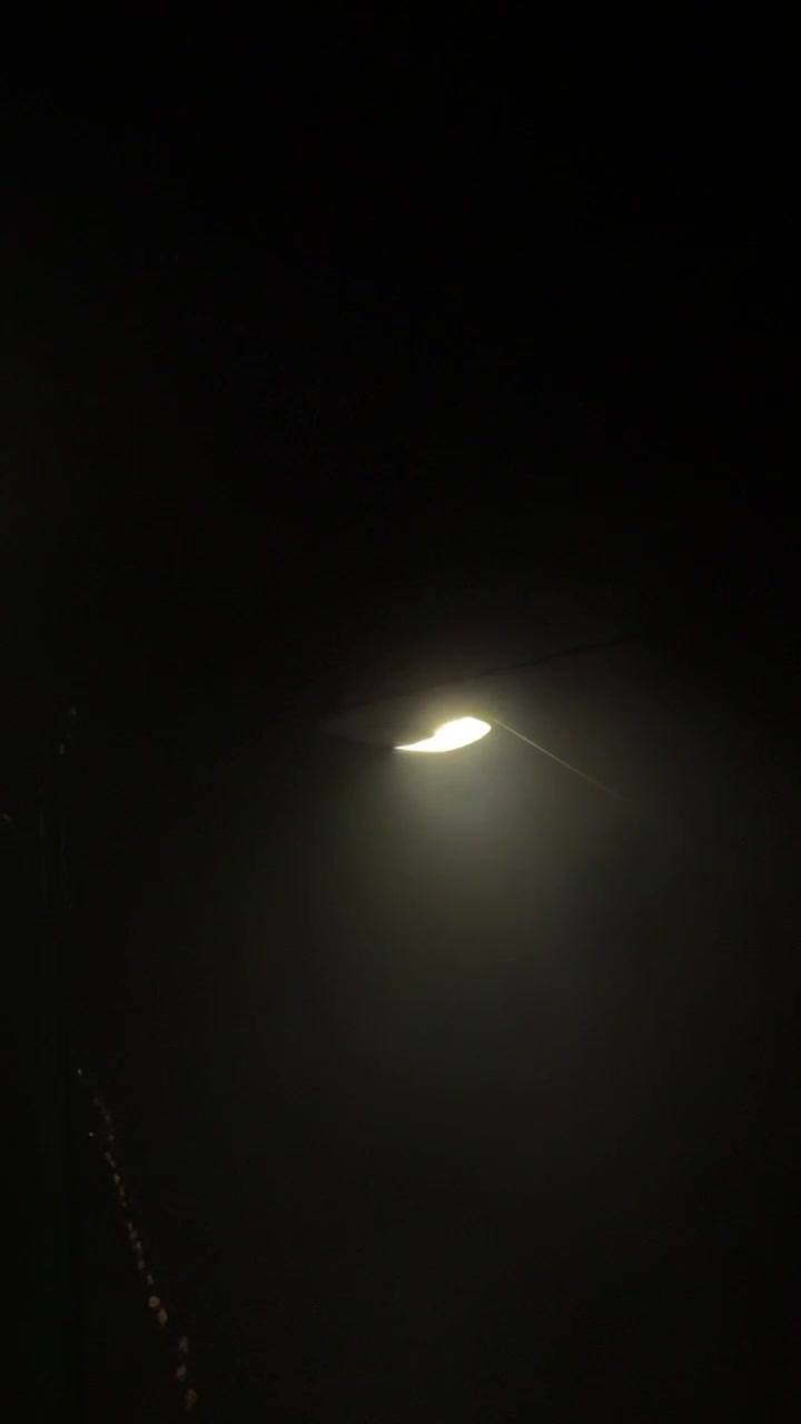 Street Lamp Glowing in Thick Night Fog