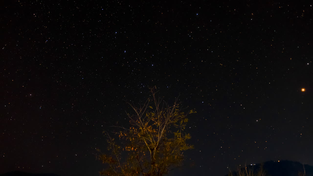 중앙 전경 요소로 나무가 있는 밤하늘 타임랩스