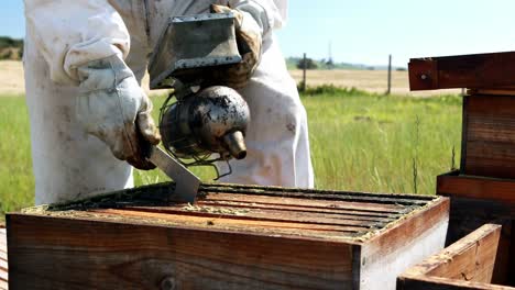 beekeepers smoking the bees away from hive