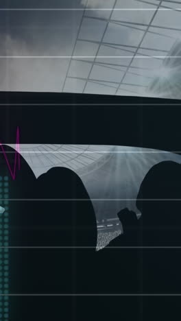 animación de gráficos y procesamiento de datos sobre los aficionados al deporte en el estadio