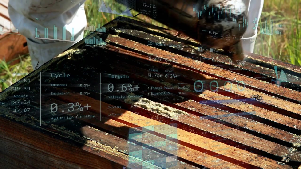 Vertical video: Beekeeper moving smoker puffing smoke over slats calming bees with charts over hive