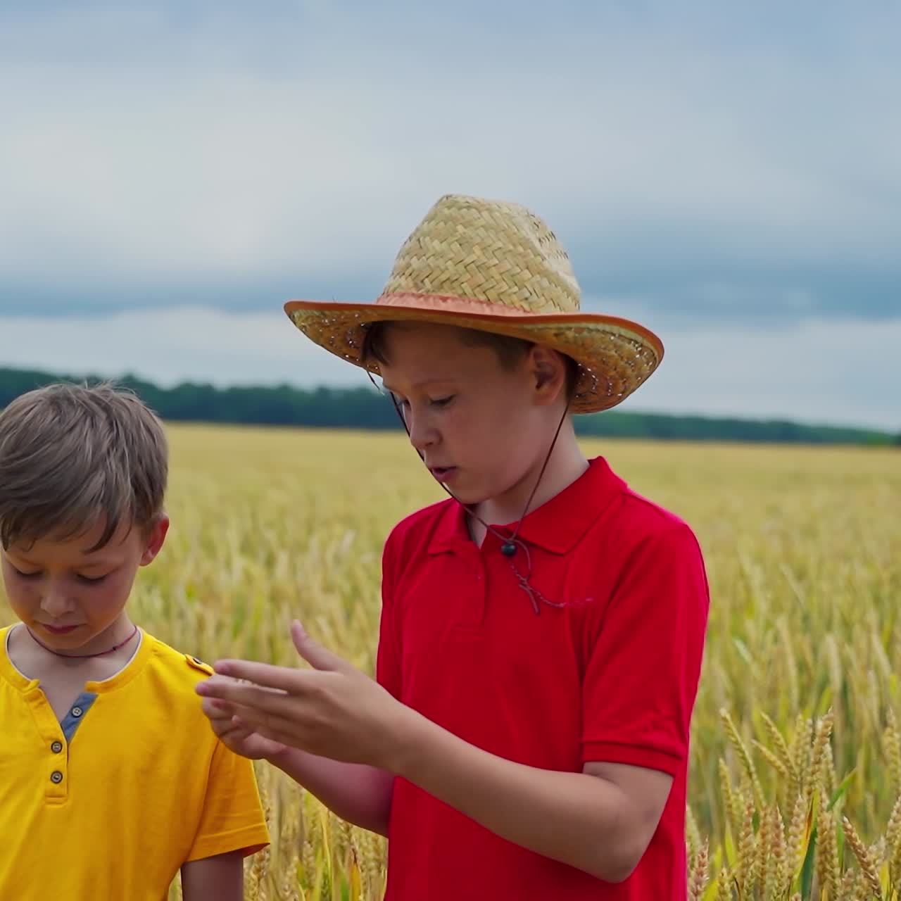 Brothers on wheat field