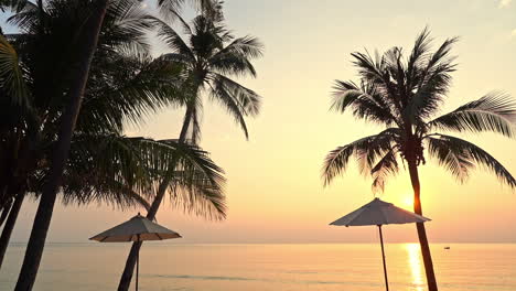 beach parasols and palm trees silhouette at seaside golden sunset in miami