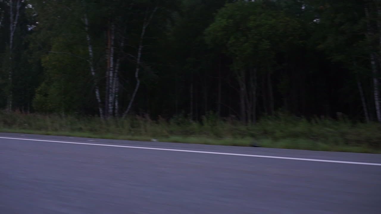Silver Honda Sedan on a Highway at Sunrise/Sunset
