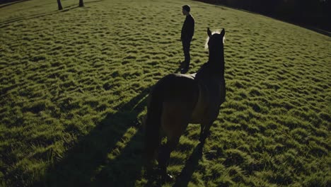 man and horse in a field at sunset