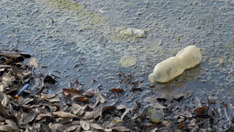green algae ridden water with littering water bottle