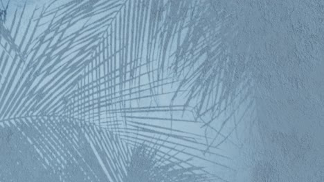animación de fondo floral pared de textura lavada azul, textura de pared enyesada, renderización 3d tropical sombra animada helechos en movimiento ramas de plantas de flores, hojas de palma, tema telón de fondo cgi, silueta