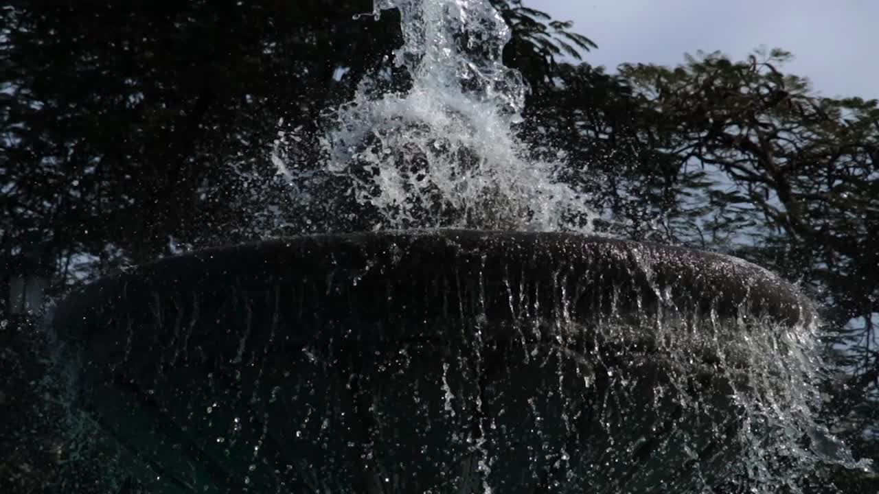 tilt from top to bottom of a water fountain in the park