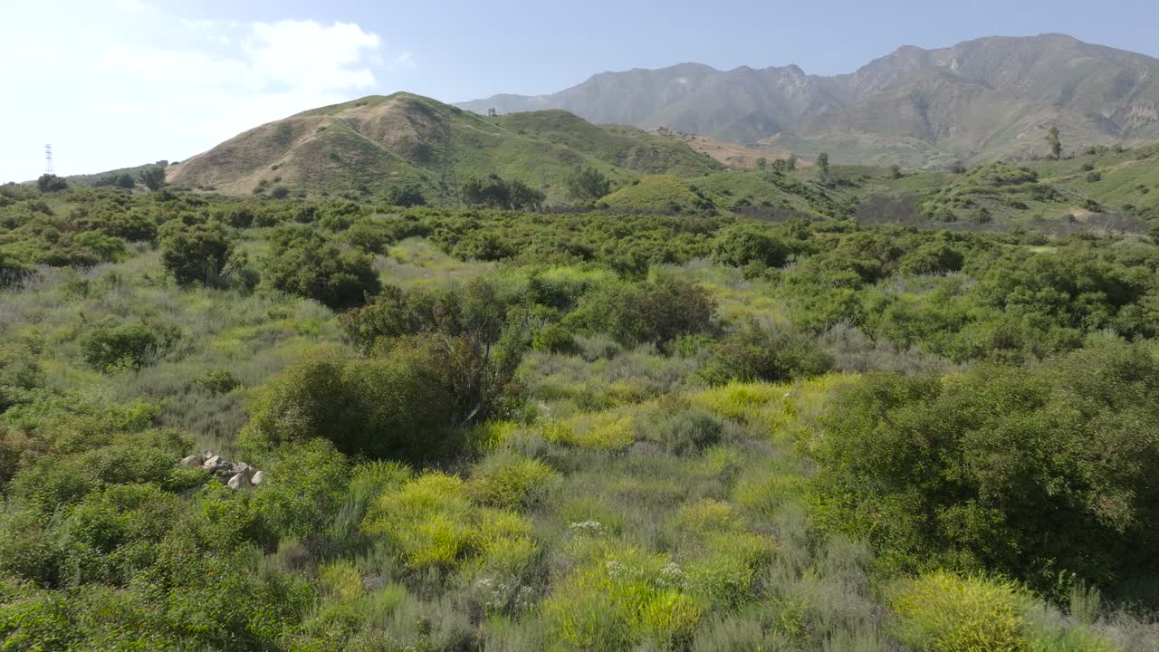 vista aérea de un paisaje verde exuberante, salvaje y sin mantenimiento en un día azul claro con colinas escénicas