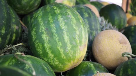 woman selecting watermelon at a market