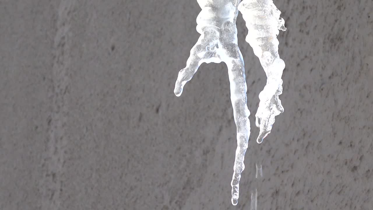 The water dripping from icicles. Shooting in the winter