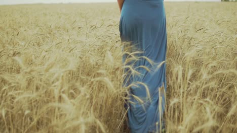 Vista-Posterior-De-Las-Piernas-De-Una-Mujer-Irreconocible-Con-Un-Largo-Vestido-Azul-Caminando-Por-Un-Campo-De-Trigo-Dorado.-Concepto-De-Libertad.-Tiro-En-Cámara-Lenta