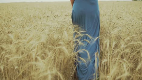 vista trasera de las piernas de una mujer irreconocible en un largo vestido azul caminando por un campo de trigo dorado. concepto de libertad. disparo en cámara lenta