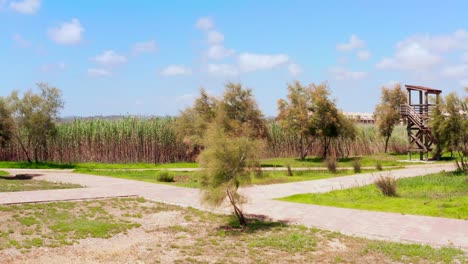 Rural-area-on-a-sunny-summer-day