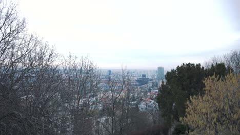 scenic view of bratislava city in slovakia over treetops in winter.