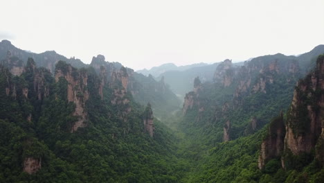 escena natural etérea: parque forestal nacional de zhangjiajie, hunan china