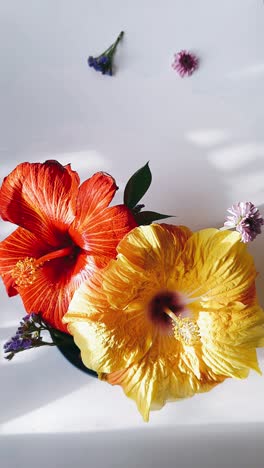 vibrant hibiscus floral arrangement