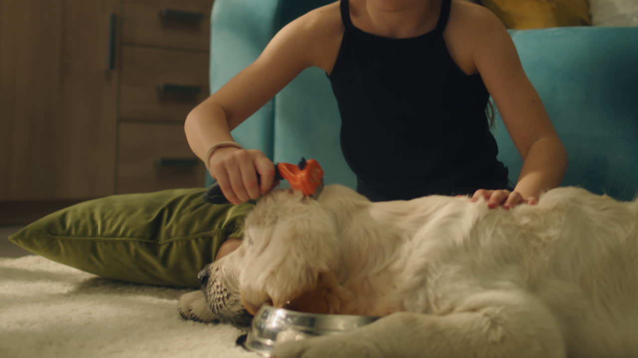Girl playing with dog in living room