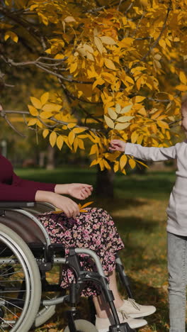 madre feliz en silla de ruedas descansa con su hija en el jardín de otoño. niño feliz se para con las manos detrás de la espalda y da hojas amarillas a la mujer sonriente a la luz del sol