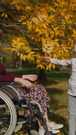 glad mother in wheelchair rests with daughter in autumn garden. happy child stands with hands behind back and gives yellow leaves to smiling woman at sunlight