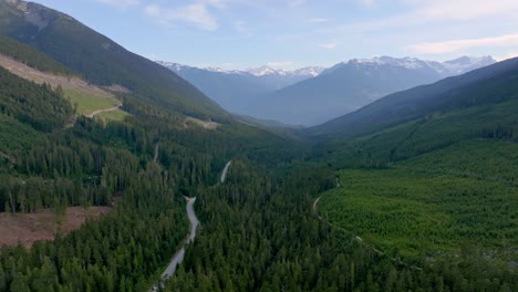 autopista 99 a través de un denso bosque de pinos en la montaña en pemberton, columbia británica, canadá