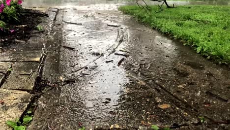 Regen-In-Superzeitlupe,-Der-Auf-Den-Gartenweg-Fällt