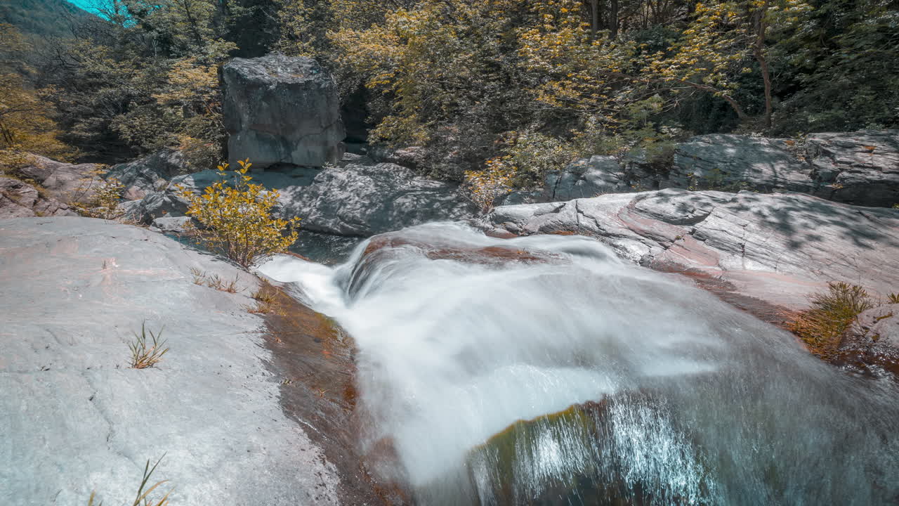 cascada en un bosque sereno, flujo de agua suave sobre las rocas, luz del día, lapso de tiempo