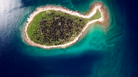 top aerial view of small desert fish shaped island gaz in brijuni islands, istria, croatia.