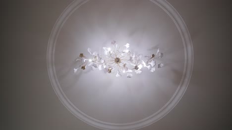 a view from below of an exquisite floral ceiling light fixture, encircled by a decorative ceiling medallion, casting a warm glow in a sophisticated space