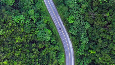 aerial top down shot of cars driving on asphalt carretera samana toll road surrounded by lush tropical forest trees in summer