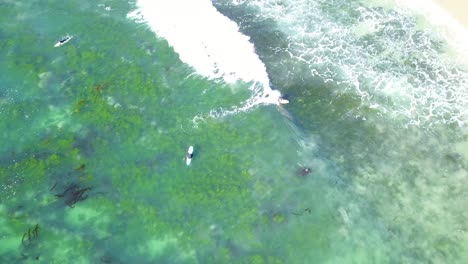 Vista-Aérea-De-4k-De-Surfistas-En-Laguna-Beach,-California-Montando-Olas-En-Un-Día-Cálido-Y-Soleado-Con-Aguas-Cristalinas