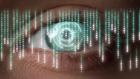 macro digital matrix eye numbers scrolling hacker calculate data web connecting