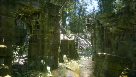 casa de piedra antigua en ruinas cubierta de plantas y helechos en un denso bosque verde