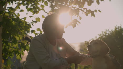 dog owner squatting on grassy field affectionately rubbing dog s ear with grooming glove while holding leash, under warm sunlight creating a beautiful silhouette effect, with blurred background