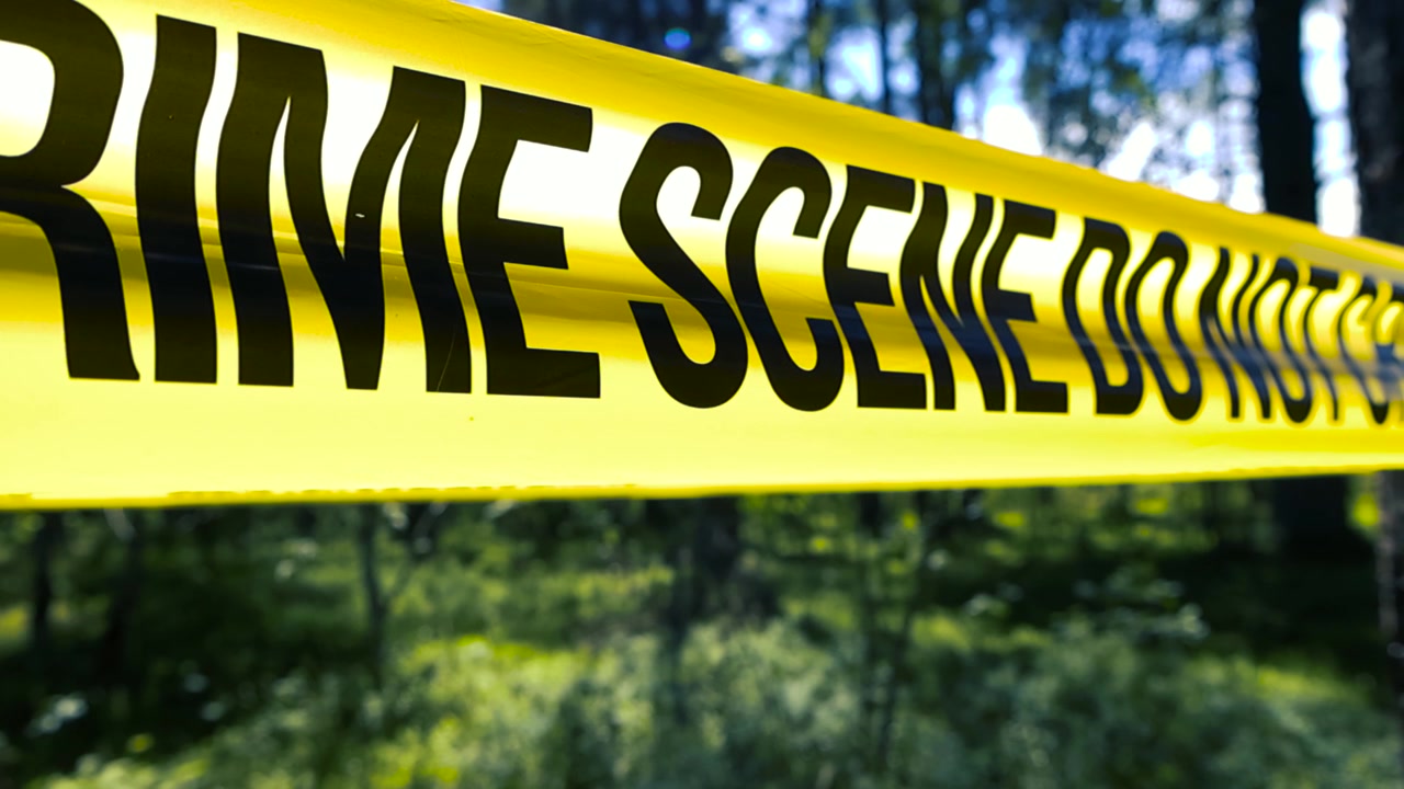 Yellow police tape with the text Crime Scene Do Not Cross is stretched in a forest, restricting access to an investigation area with shallow depth of field and a blurred green background