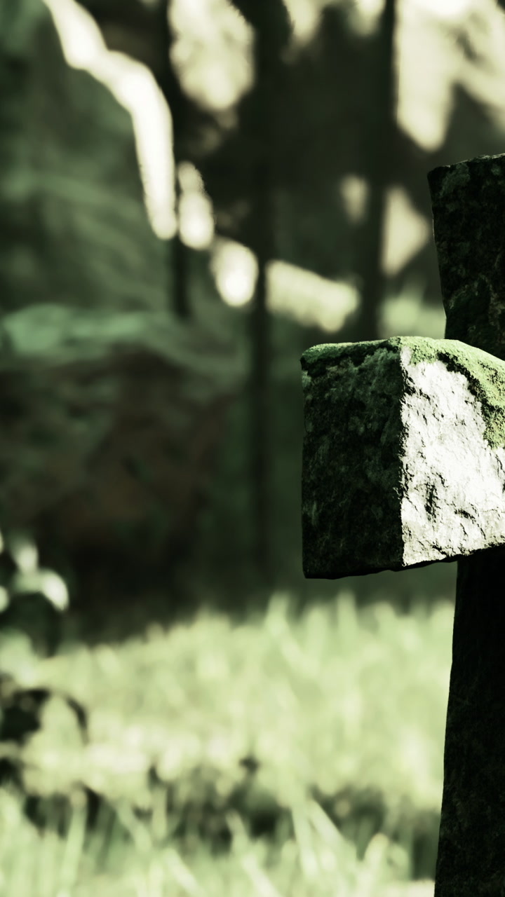 Old stone cross in forest with green grass and rocks in background