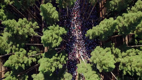 large crowd gathering in a forest