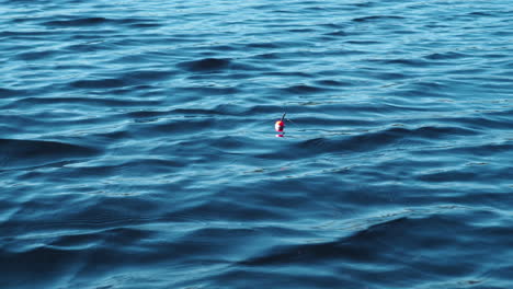roter angelschwimmer auf der wasseroberfläche eines tiefen sees