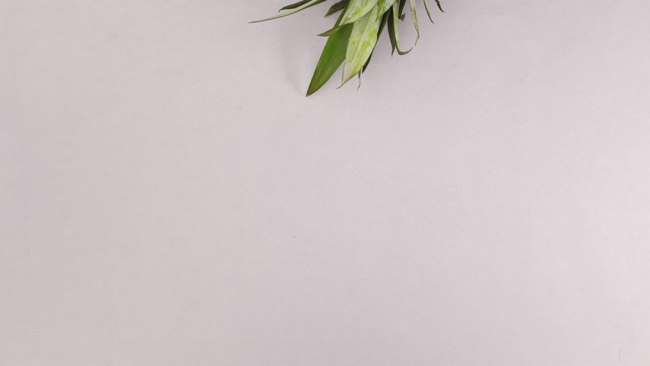 la piña pasando por el tema gris plateado. detenga el movimiento