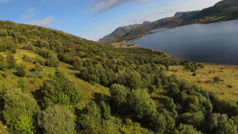 Flying-along-a-mountain-overlooking-a-lake-to-the-right-and-grassy-landscape-and-many-trees-on-the-hillside,-in-slowmotion